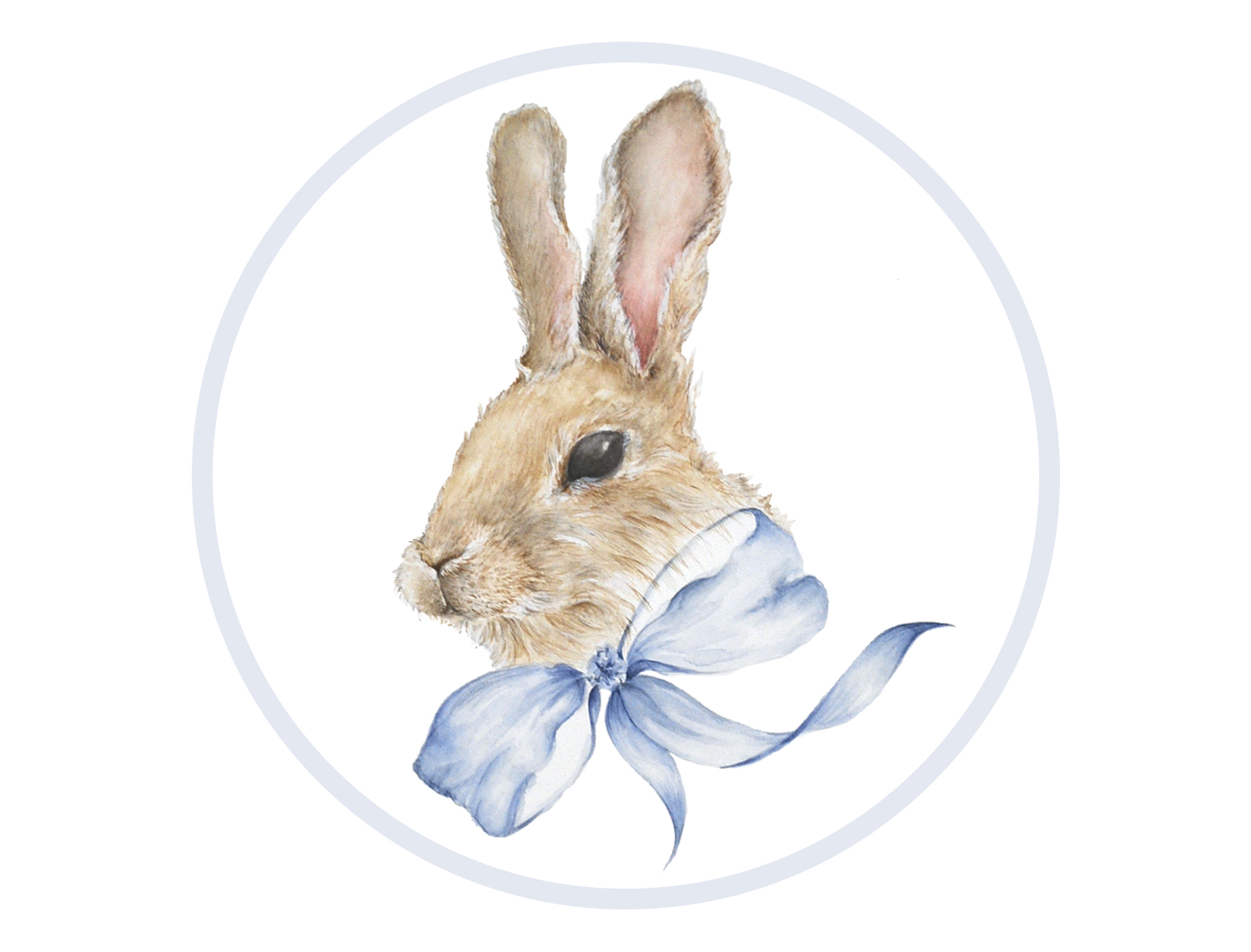 Bunny.©CheriCottrell